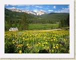 Wyoming2008 393 * Field of wildflowers in Granite Creek Canyon * Field of wildflowers in Granite Creek Canyon * 3072 x 2304 * (4.31MB)